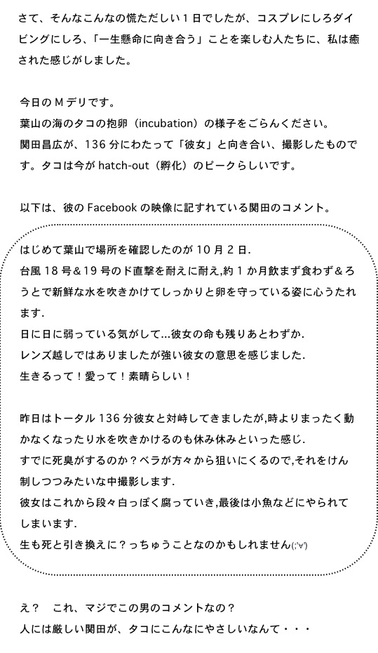 2014.10.26-8.jpg