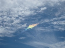 IMG_2960.jpg