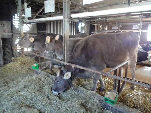 2012-11-22 11.50.46.jpg