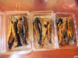 P1100889.jpg