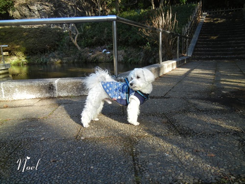 三ツ池公園にて