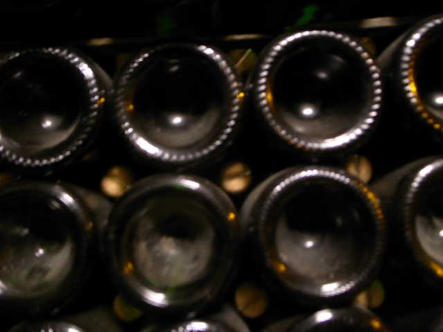 RIMG22473.JPG
