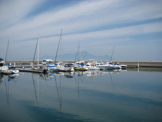 IMG_4988.JPG