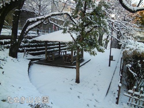 近くの雪景色＆ノエル