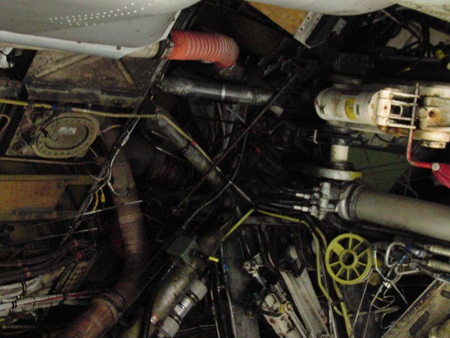 CIMG4286.jpg