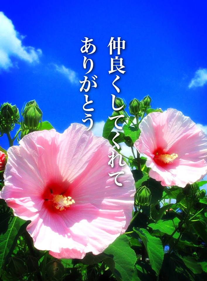 仲良くしてくれてありがとう(人生訓) みやひょんの青春真っ盛り 楽天ブログ 仲良くしてくれてありがとう(人生訓) みやひょんの青春真っ盛り 楽天ブログ