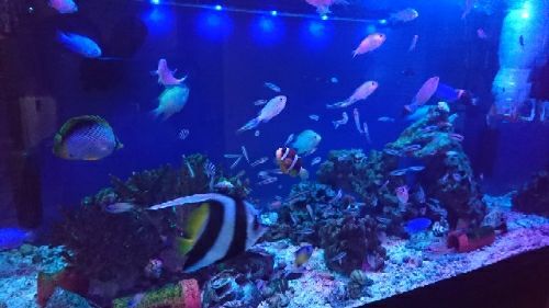 rblog-20170613162915-01.jpg