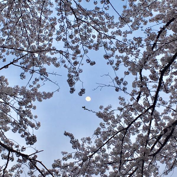 rblog-20180404162008-01.jpg