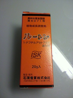 2013011821210000.jpg