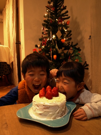 121224Xmascake.jpg