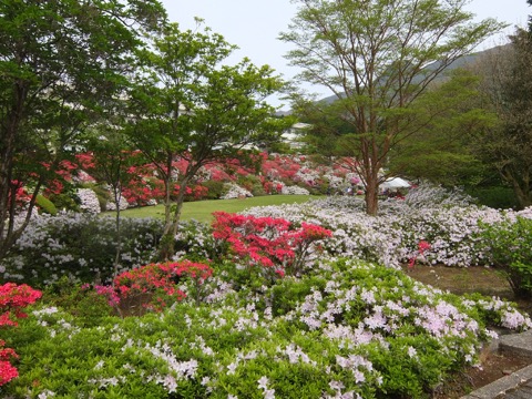 DSCF1795.jpg