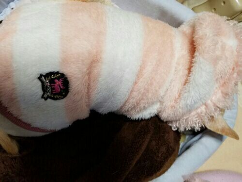 rblog-20161110193616-01.jpg