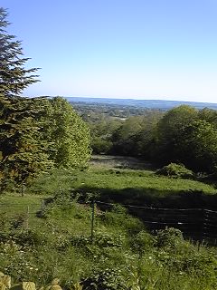 PA0_0056.JPG
