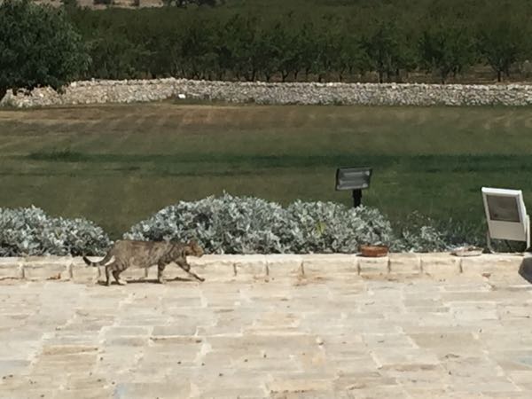 rblog-20151001074504-04.jpg