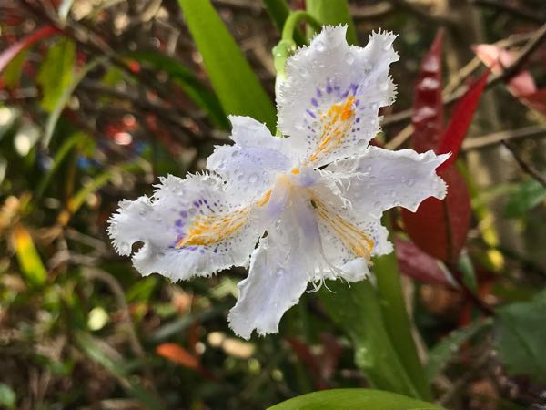 rblog-20190401163907-05.jpg