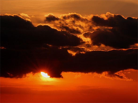 IMG_2607　10 24 17 00.jpg