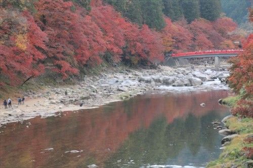 国内旅行 の記事一覧 おじん０５２３のヒロ散歩 楽天ブログ