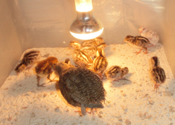 20140606(3)