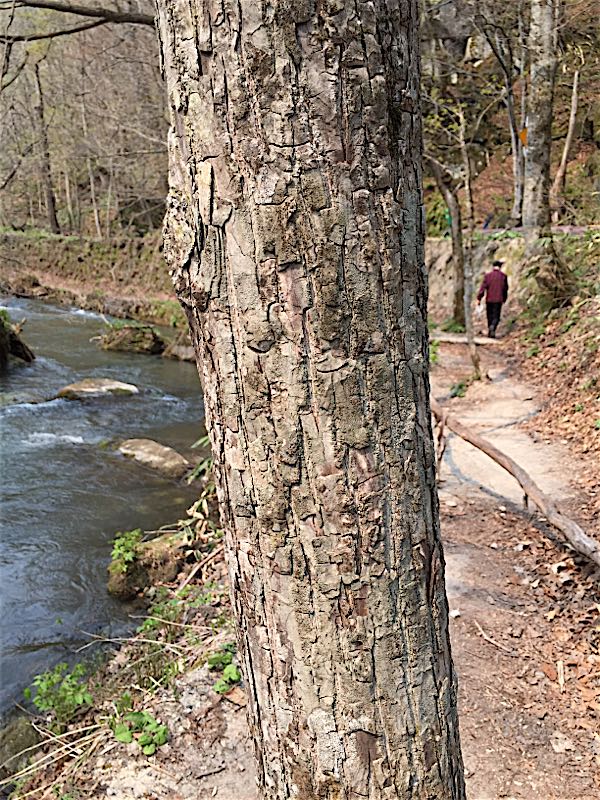 rblog-20150428000550-04.jpg