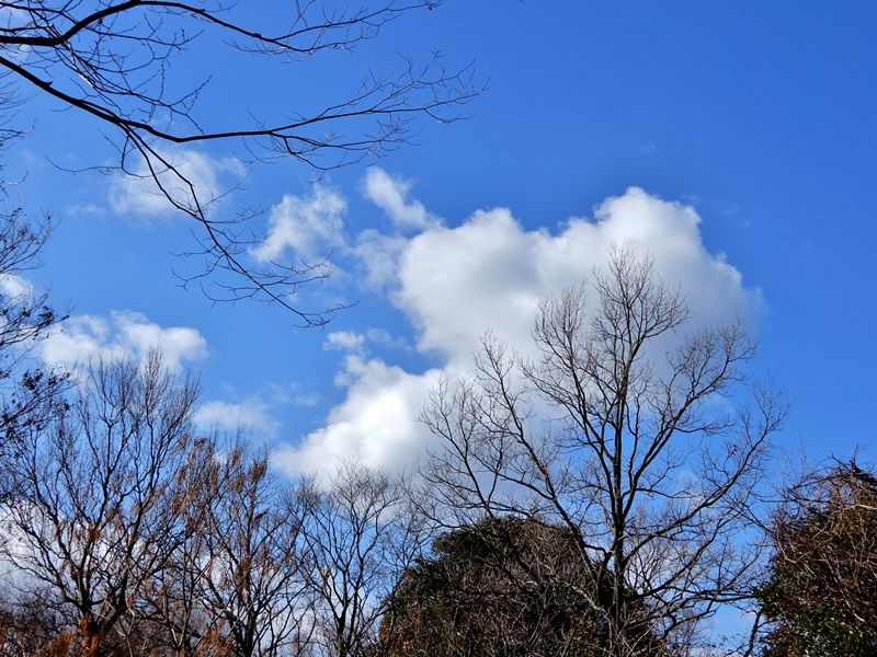 空2