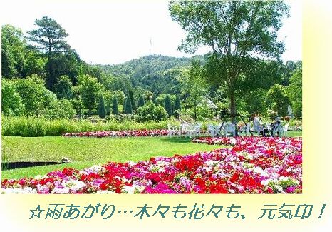フラワーランド　６月　２