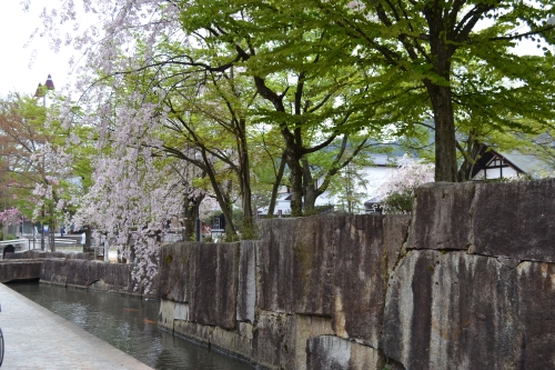 20120502_111710.jpg