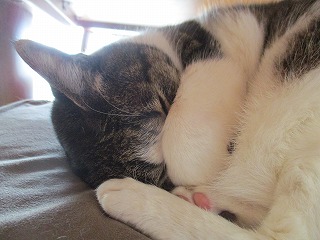 IMG_8538ss.jpg