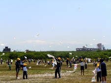 20120521凧まつり.jpg