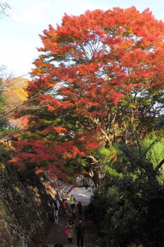 勝尾寺_4-2.jpg