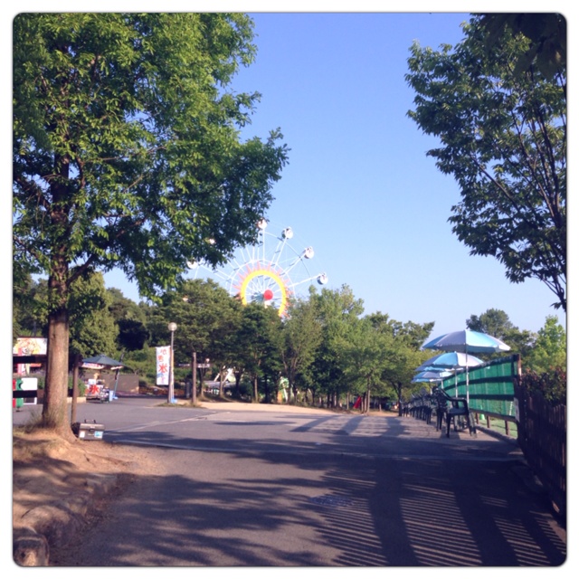 rblog-20130616212440-00.jpg