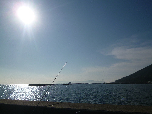 P1150167(1).JPG