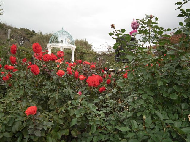 DSCF8563.JPG