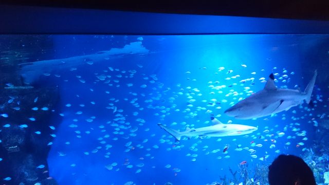 2015-08-23 10.48.17.jpg