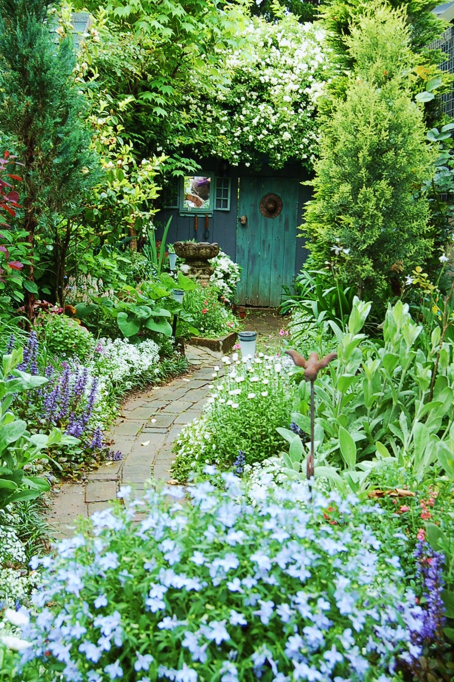 DSC_0103 - コピー.JPG