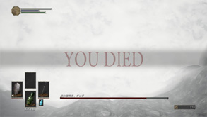 DS17.jpg