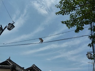 P1070150ss.jpg