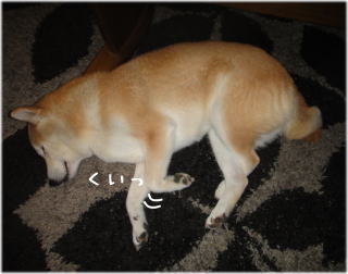 ラグ6.jpg