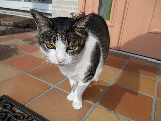 IMG_7301ss.jpg