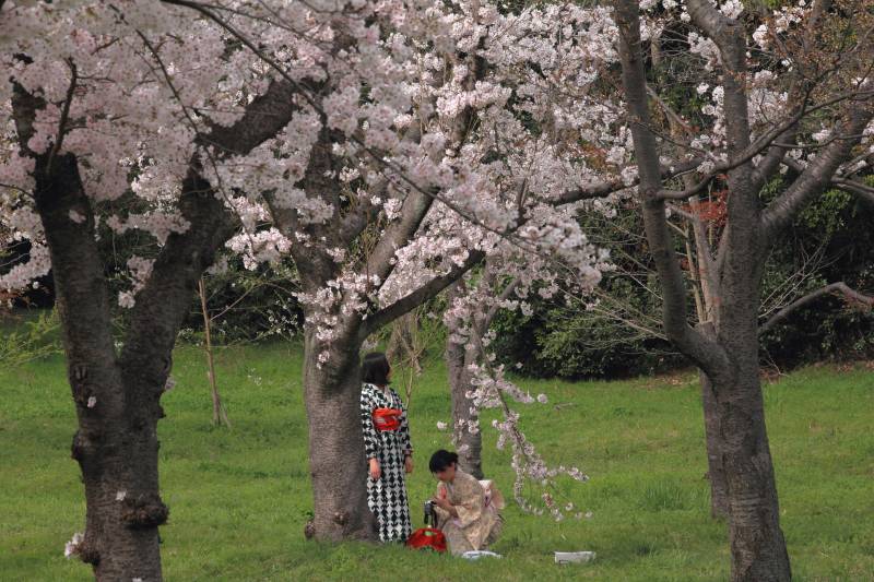 万博記念公園_008.jpg
