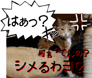 P6180023_1.png