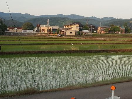 IMG_20140524_052305-ｐ.jpg
