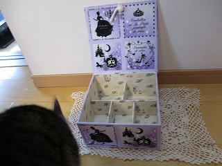 IMG_5140ss.jpg