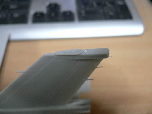 P1060072.jpg