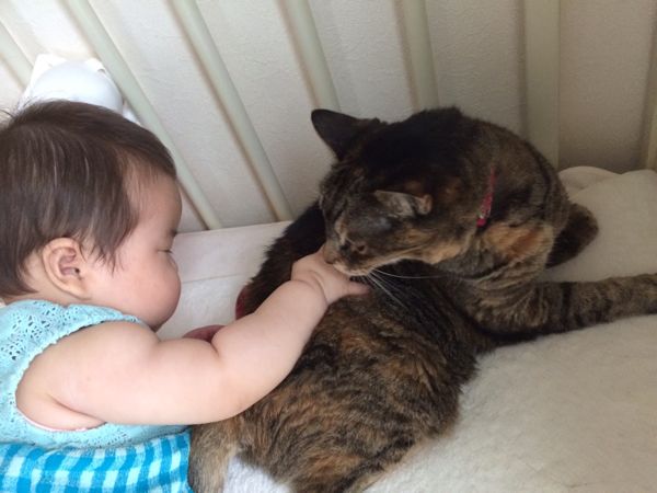 rblog-20140719095959-02.jpg
