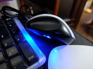 DSCF0037.JPG