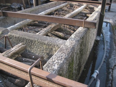 100-0011_IMG 400x.jpg