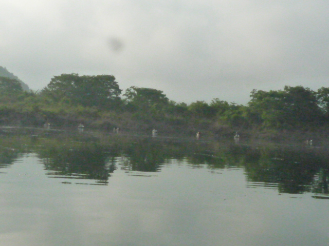 P1020777.JPG