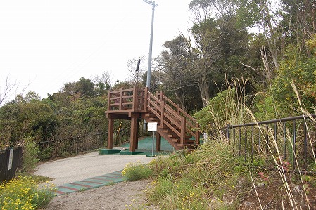 s-DSC_0444.jpg