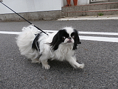 conv0722.JPG