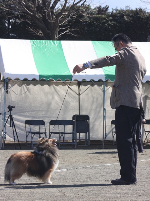 IMG_1015 - コピー.JPG